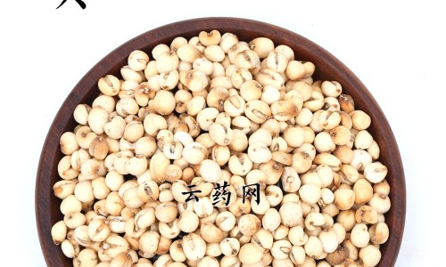 陈皮的功效作用与主治泡水喝能喝几天-陈皮的功效作用降火气网—知名的陈皮功效作用与主治功能网站,分享陈皮的作用和功效与主治知识